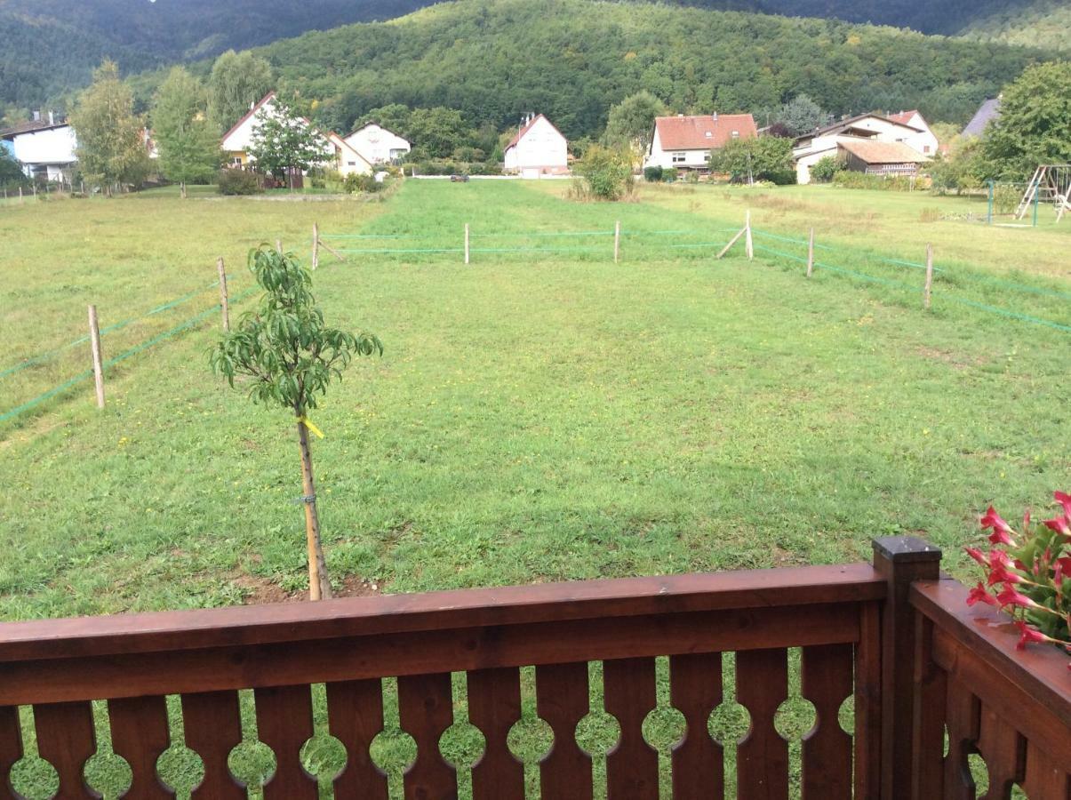 Chalet Colline Et Lou Wintzfelden Buitenkant foto